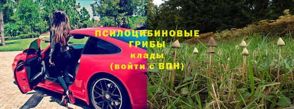 мескалин Коряжма