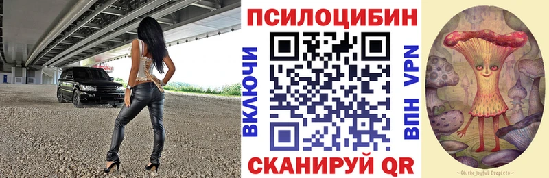KRAKEN   Егорьевск  Галлюциногенные грибы мицелий 