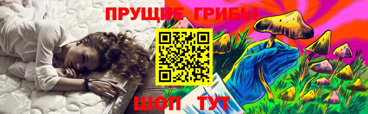 Егорьевск  Псилоцибиновые грибы GOLDEN TEACHER  Вход с VPN 